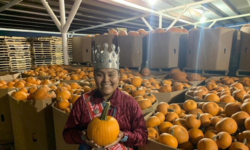 Miss Navajo Nation Pumpkin Distribution